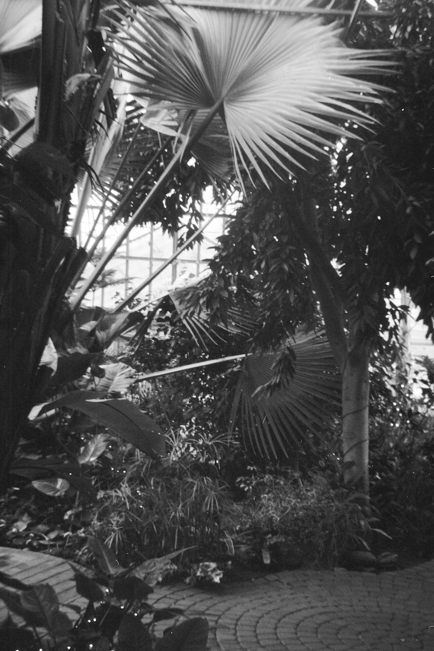 Lamberton Conservatory